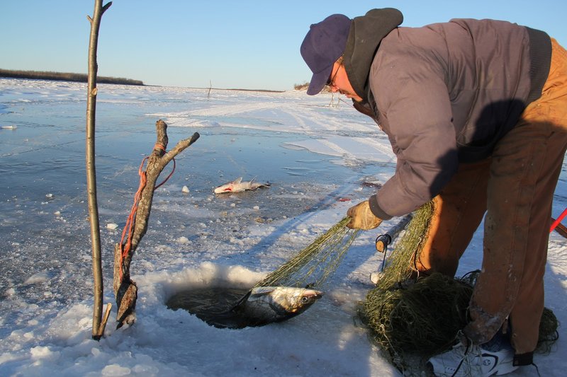 Experience the Thrill of Ice Fishing in the UK's Live Casino Environment, ice fishing